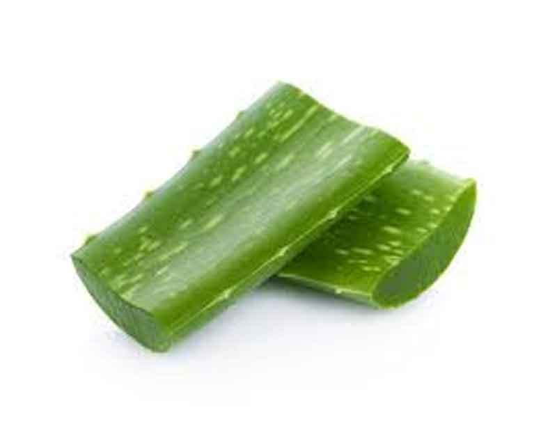 aloe vera